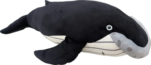 32 inch Humpback Whale