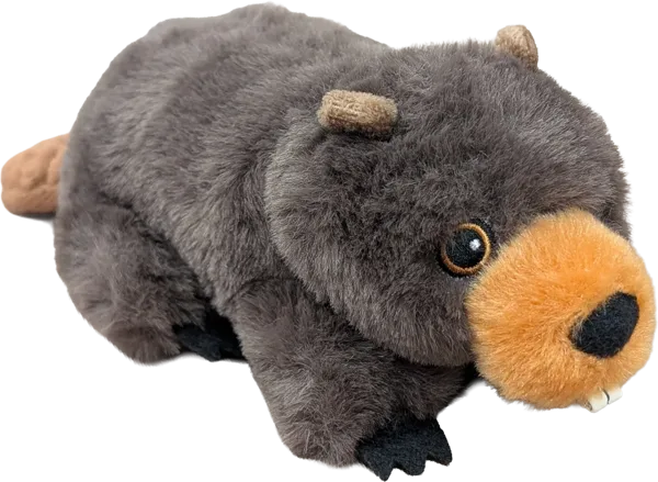 8 inch Natural Beaver