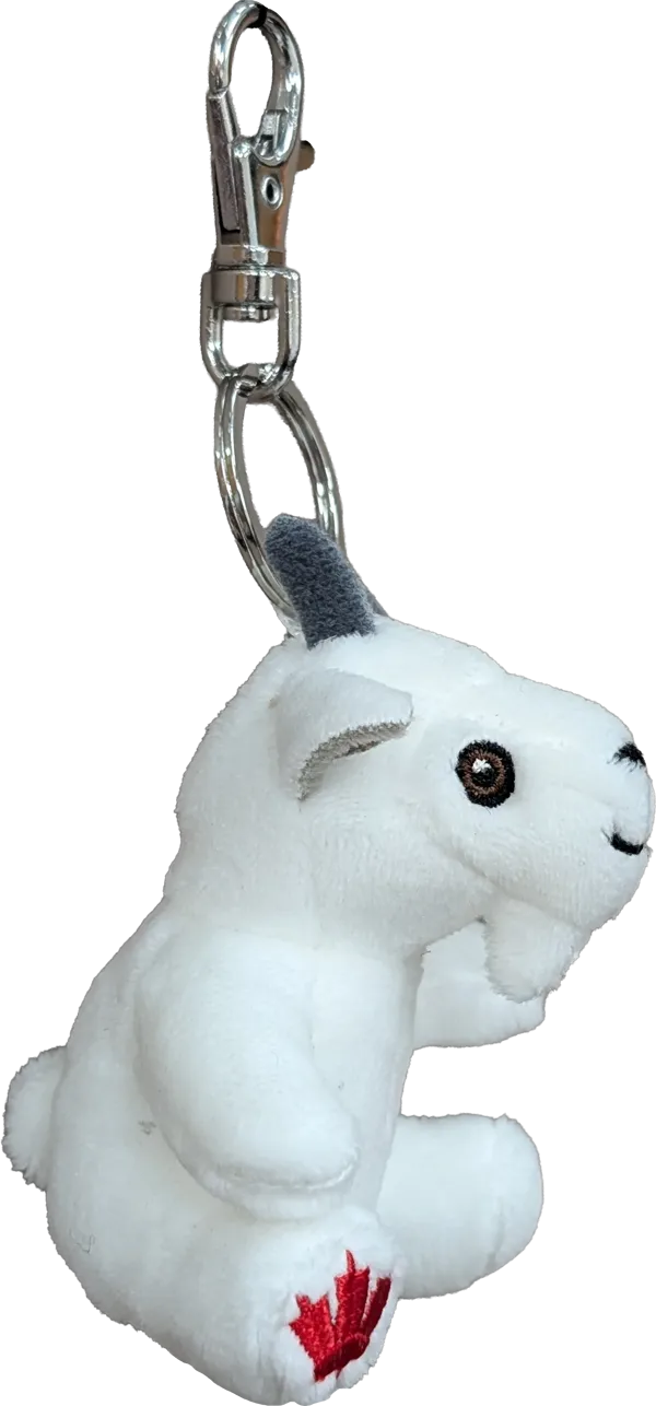 What's New | The Stuffed Animal House