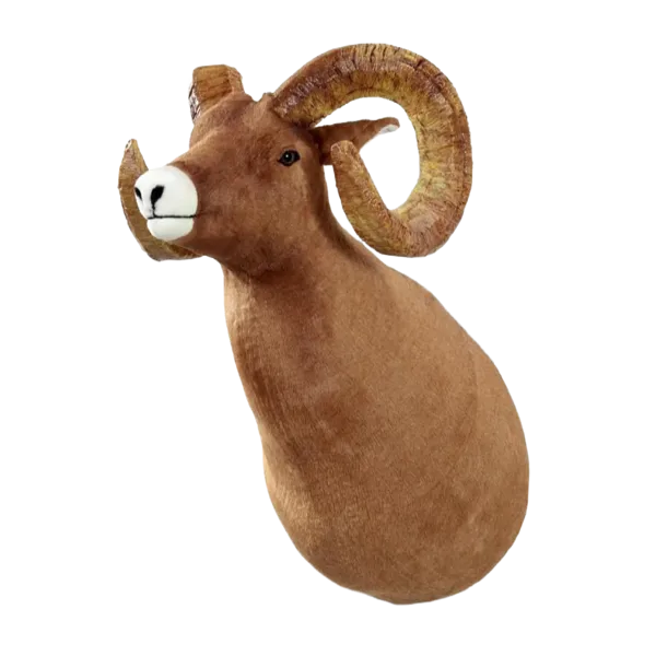 Display, Wall Hanging Ram Head